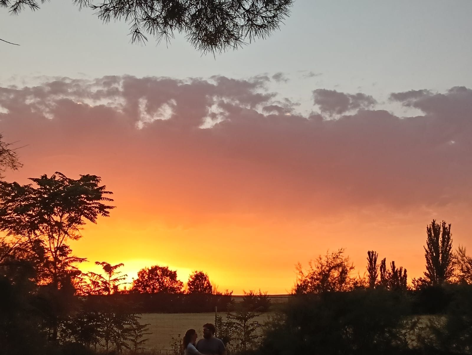 Atardecer desde la finca